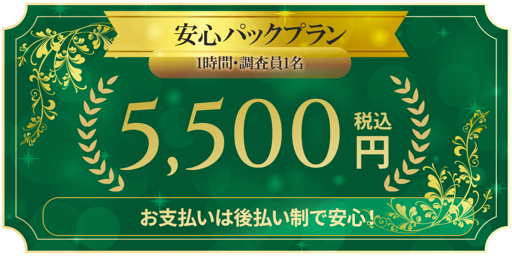 安心パックプラン1時間・調査員1名5,500円税込